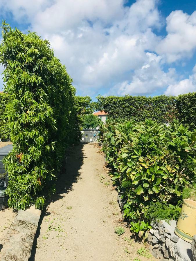 Casas Da Quinta Villa ฮิเบย์รา กรันเจ ภายนอก รูปภาพ
